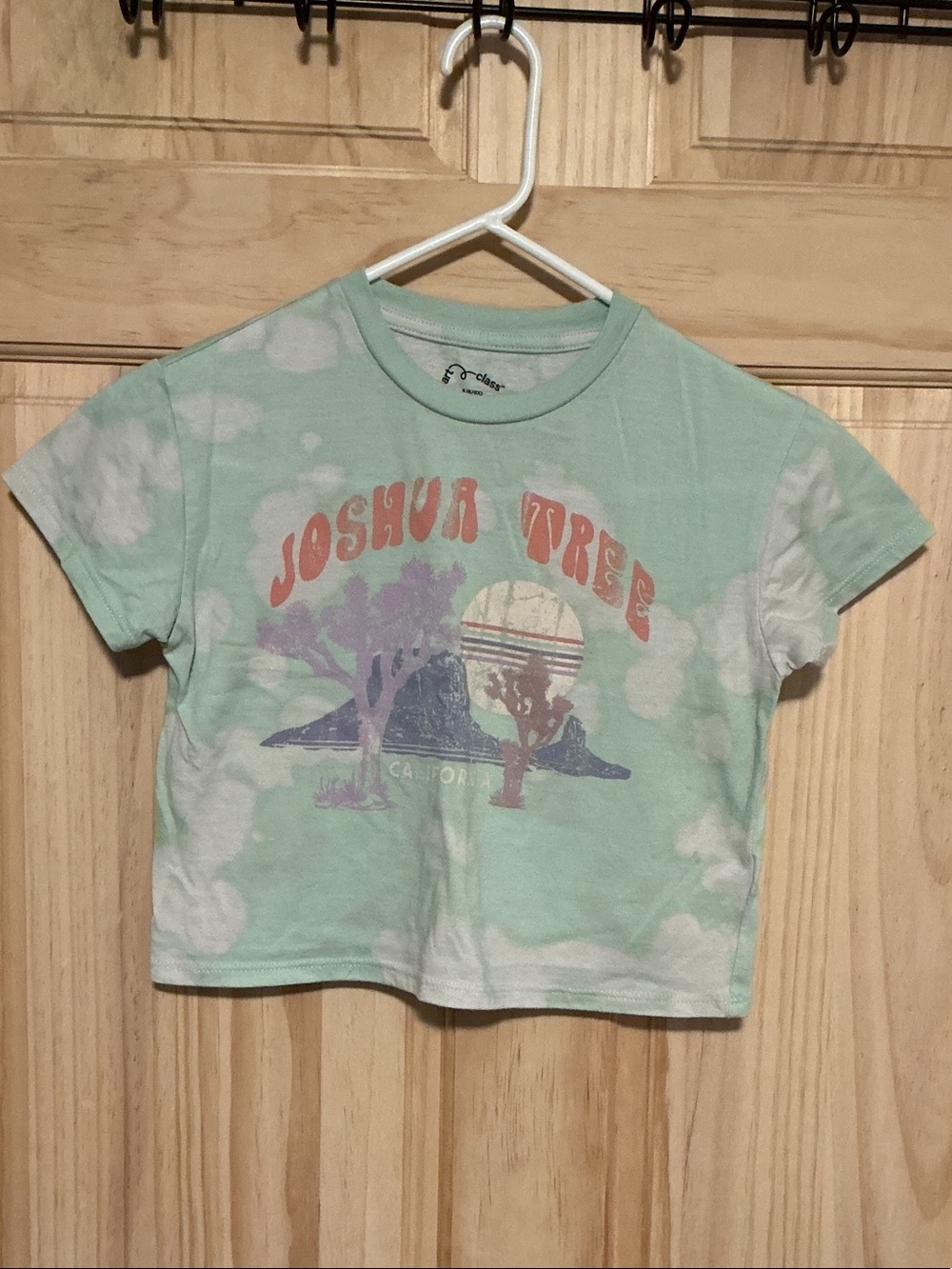 art class Mint Green Joshua Tree California Graphic Tee